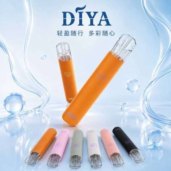 DIYA橙色主機